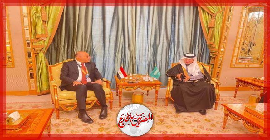 المصريين بالخارج