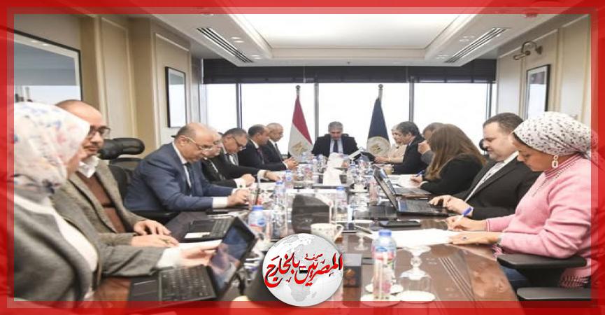 المصريين بالخارج