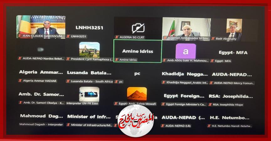 المصريين بالخارج