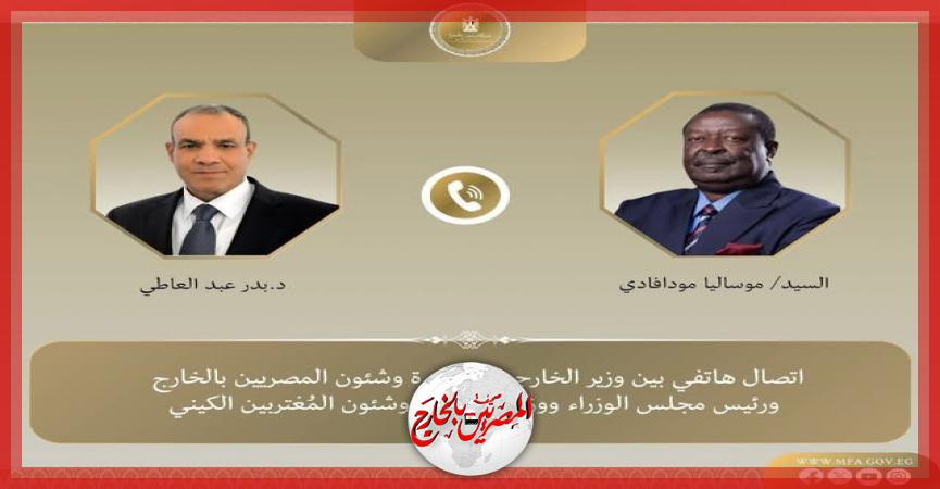 المصريين بالخارج