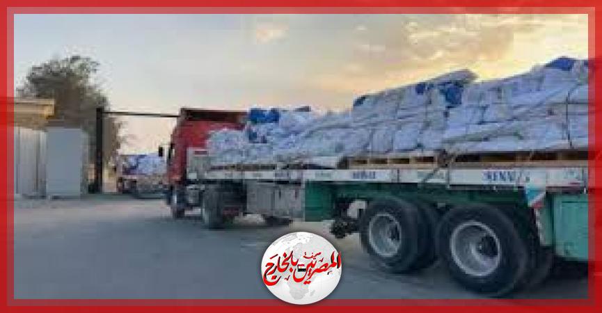 المصريين بالخارج