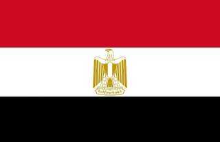 حصاد عام 2025 لأنشطة المكتب الثقافي والتعليمي المصري بالمملكة العربية السعودية ( الرياض و جدة )