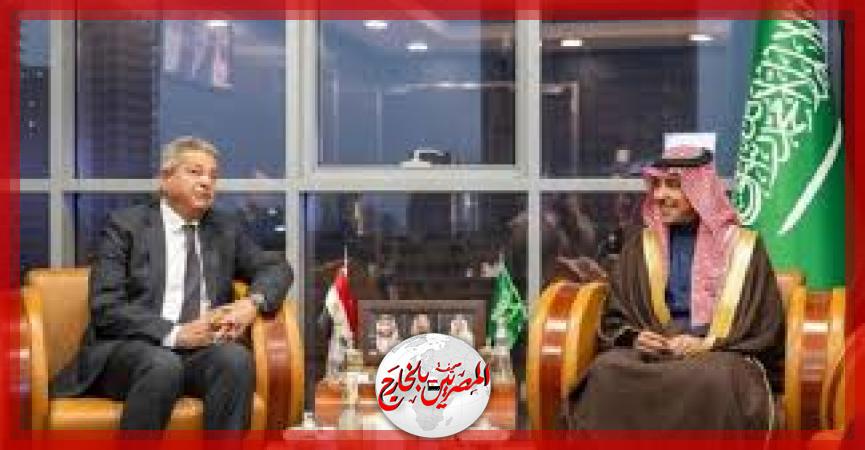 المصريين بالخارج