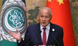 أمين عام الجامعة العربية يدين استهداف قوافل الإغاثة في السودان