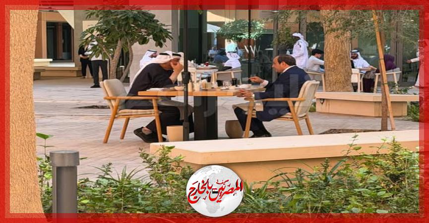 المصريين بالخارج