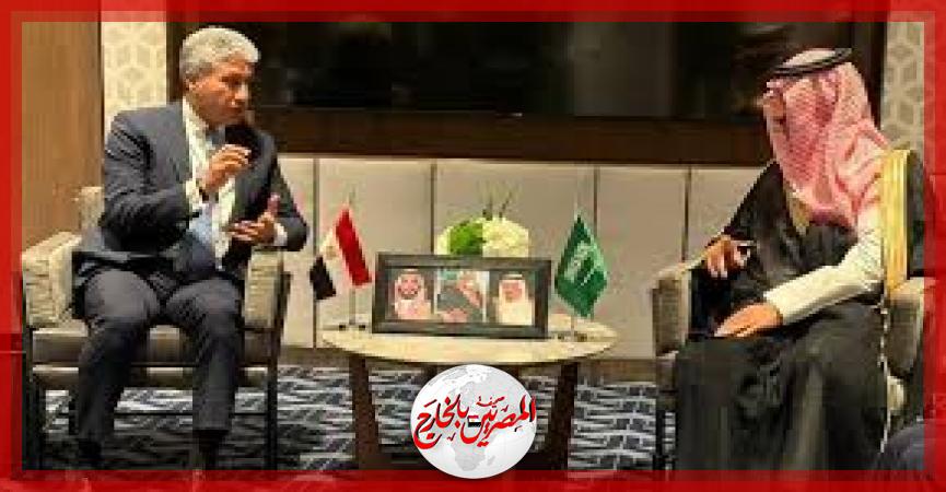 المصريين بالخارج