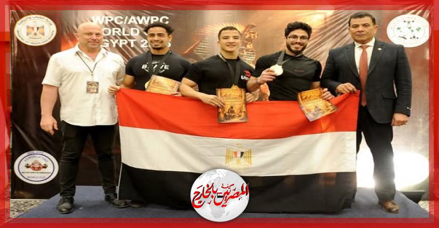 المصريين بالخارج