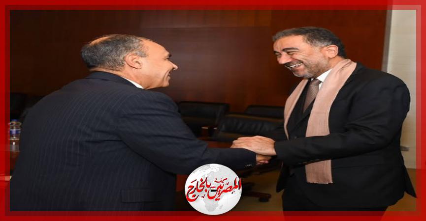 المصريين بالخارج