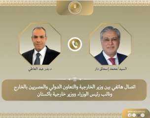 وزيرا الخارجية المصري والباكستاني يبحثان المستجدات في غزة والتطورات الإقليمية