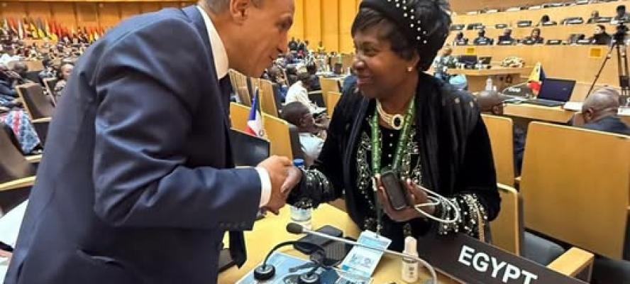 وزير الخارجية والتعاون الدولي والمصريين بالخارج يلتقى مع السيدة ”ليثا موسييمي-أوجانا” المفوضة باللجنة الإفريقية لحقوق الإنسان