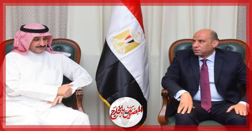 المصريين بالخارج