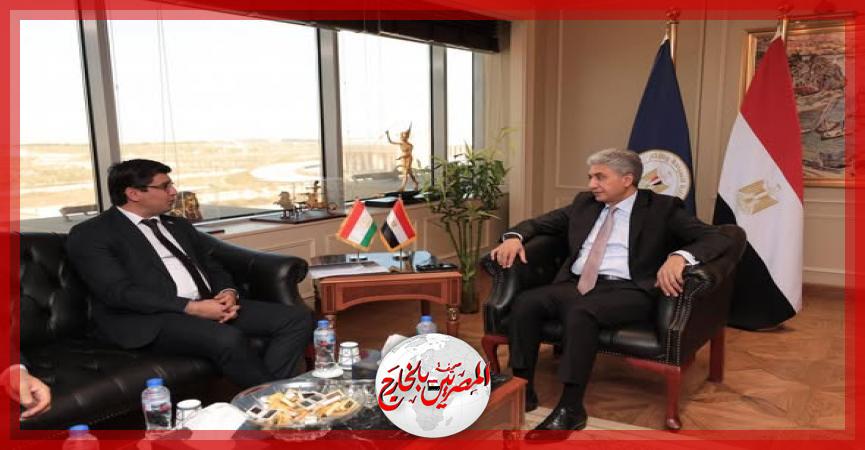 المصريين بالخارج