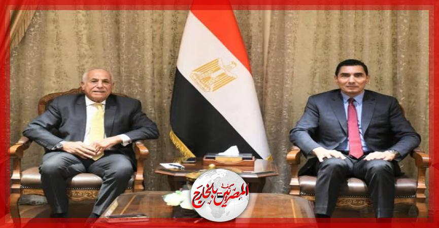 المصريين بالخارج