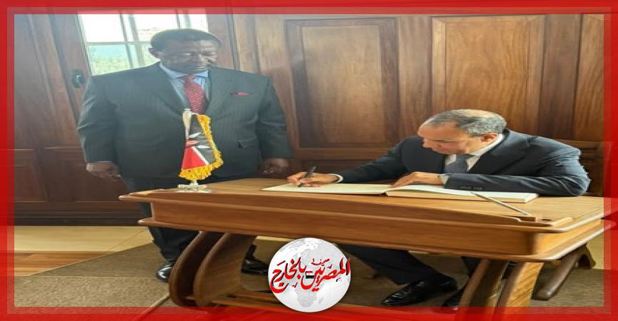 المصريين بالخارج