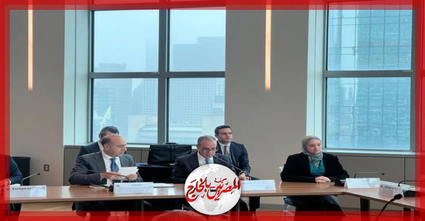 المصريين بالخارج