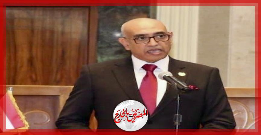 المصريين بالخارج