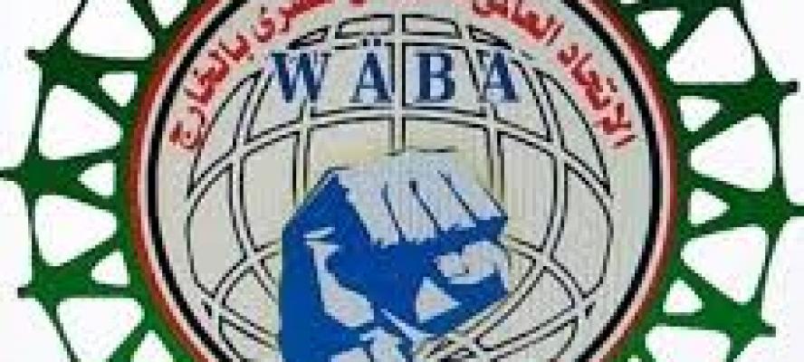 الاتحاد العالمي للمواطن المصري بالخارج تضامن كامل مع دول الخليج في مواجهة الاعتداءات