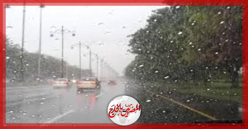 المصريين بالخارج