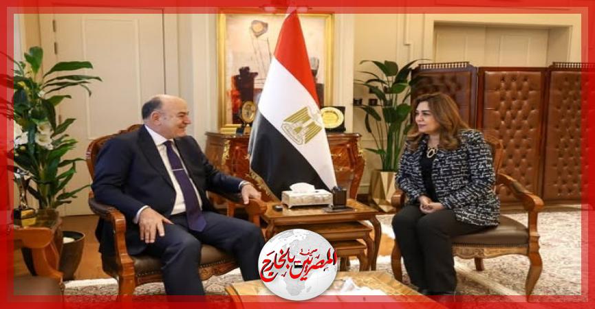 المصريين بالخارج