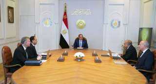 الرئيس السيسى: أهمية قصوى للحفاظ على أرصدة استراتيجية من المنتجات البترولية