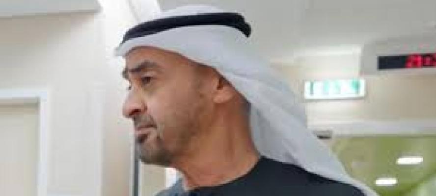 محمد بن زايد: الإمارات بخير.. جلدها غليظ ولحمها مر لا يؤكل
