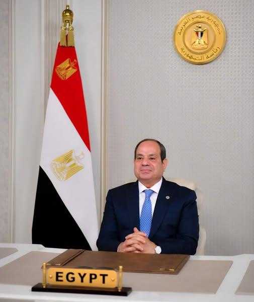 قرار جمهورى بتشكيل المجلس القومى لحقوق الإنسان لمدة أربع سنوات