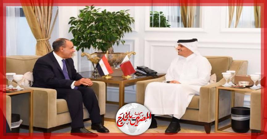 المصريين بالخارج