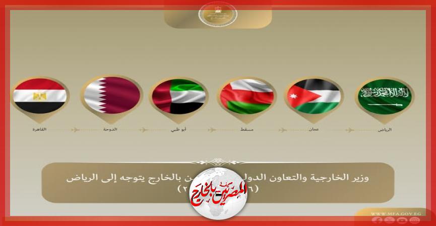 المصريين بالخارج