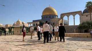 سلطات الاحتلال تواصل إغلاق الأقصى لليوم 19 على التوالي