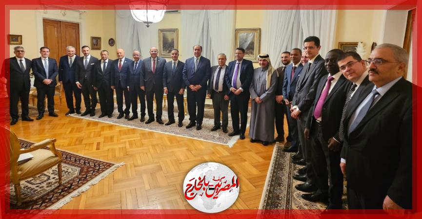 المصريين بالخارج