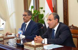 وزير الخارجية: مصر قدمت كافة أشكال الدعم لأشقائها وتسخر جهودها الدبلوماسية لوقف الحرب