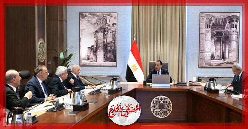 المصريين بالخارج