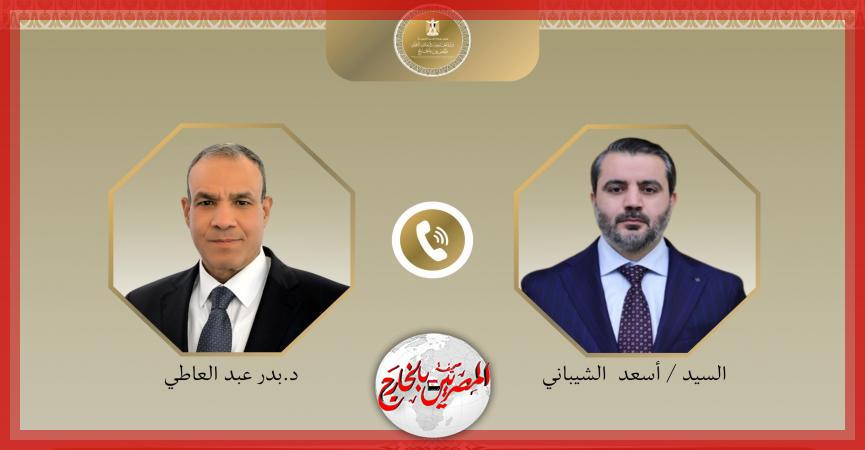 المصريين بالخارج