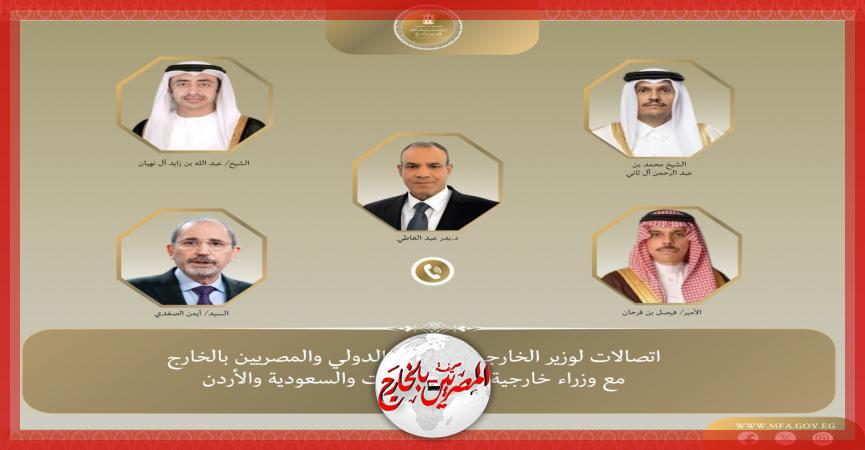 المصريين بالخارج