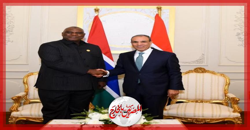 المصريين بالخارج