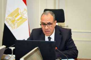 وزير الخارجية يشارك في الاجتماع الافتراضي مع أبناء الجالية المصرية في الأردن