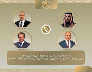 وزير الخارجية يبحث مع نظيريه السعودى والعراقي ومدير الطاقة الذرية جهود خفض التصعيد