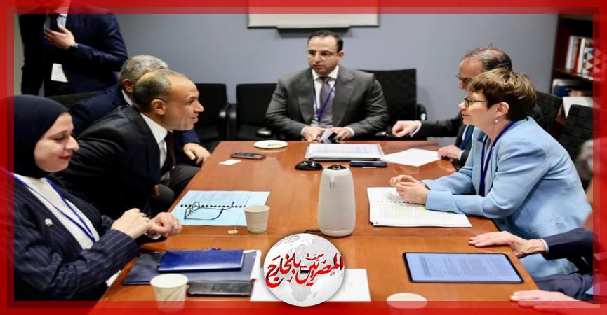 المصريين بالخارج