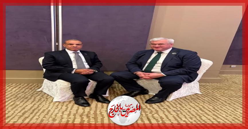 المصريين بالخارج