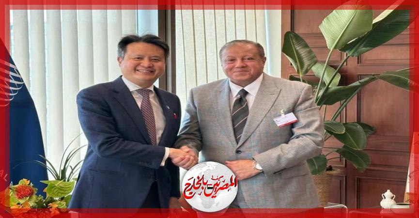 المصريين بالخارج