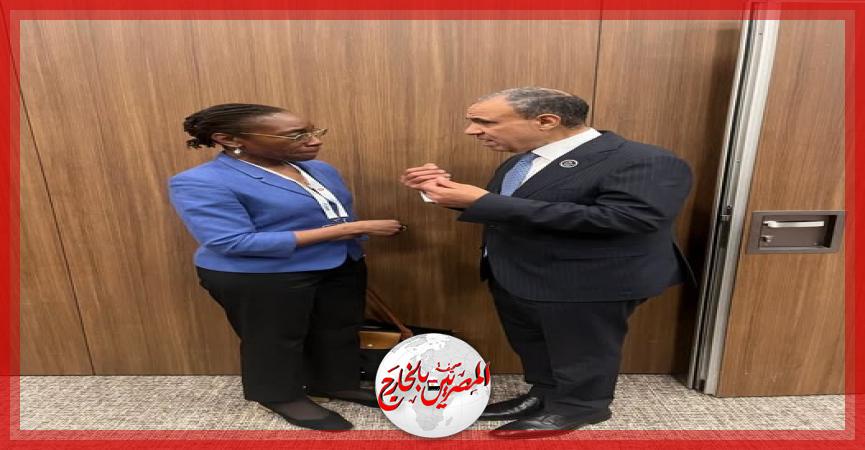 المصريين بالخارج