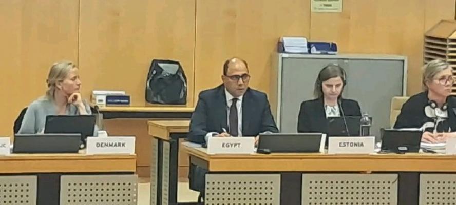 سفير مصر بالاتحاد الأوروبي يشارك في اجتماع كبار المسئولين لإطلاق خطة العمل الأولى لميثاق المتوسط