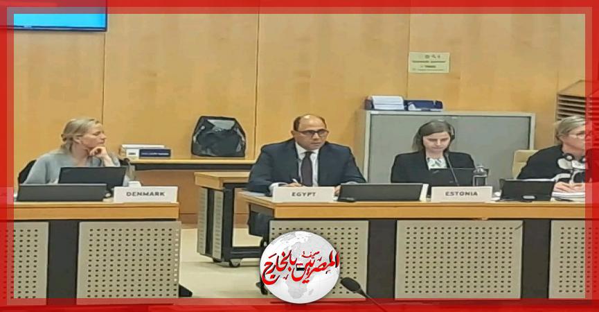 المصريين بالخارج