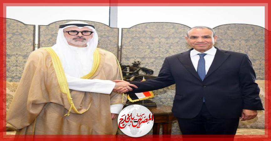 المصريين بالخارج