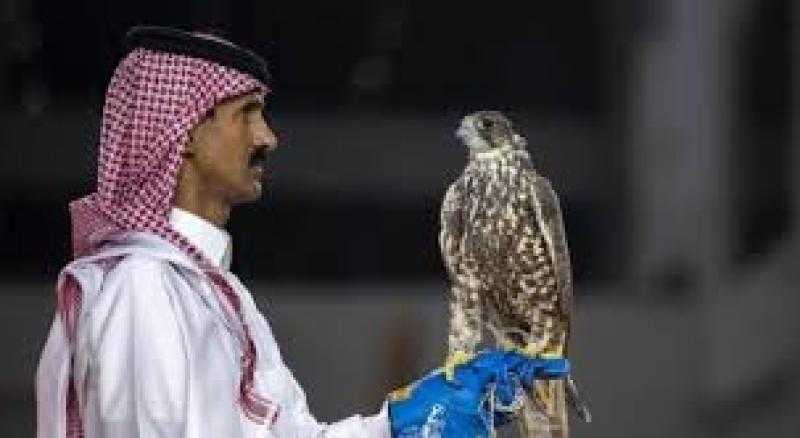 الرياض تستضيف معرض الصقور والصيد السعودي الدولي أكتوبر المقبل