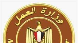 وزارة العمل تعلن اتفاقًا لتسوية أوضاع العمالة المصرية التي دخلت لبنان بتأشيرات سياحية