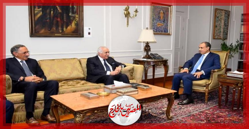 المصريين بالخارج