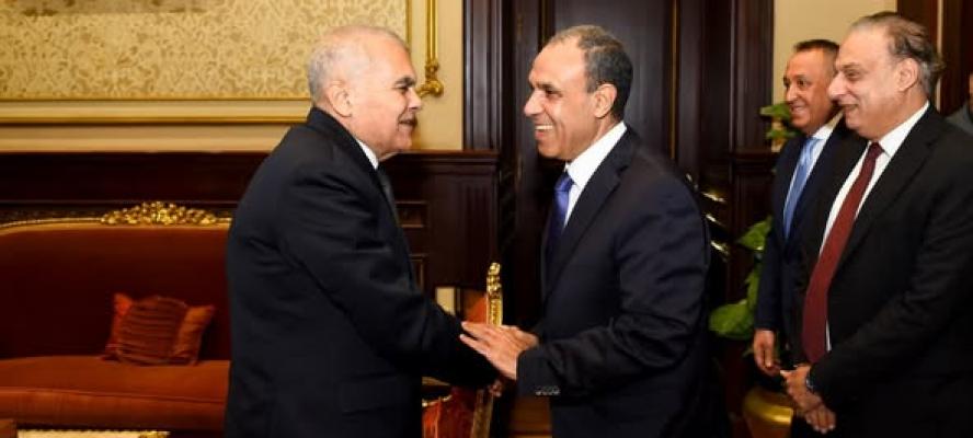 وزير الخارجية يلتقي رئيس مجلس الشيوخ