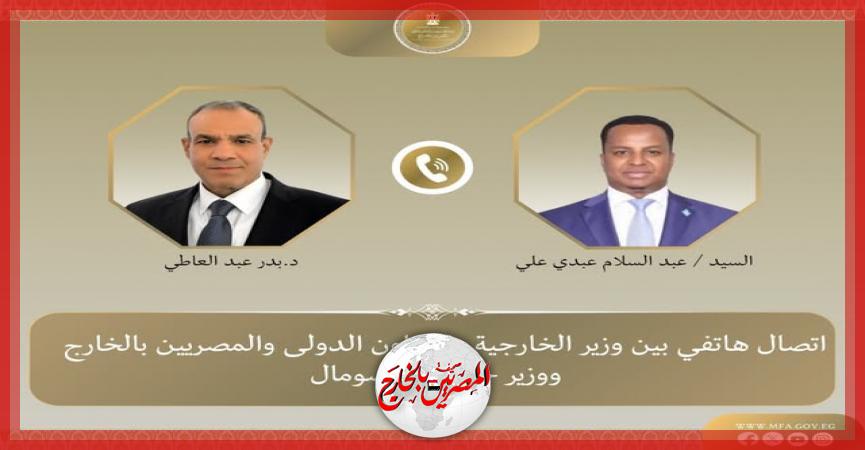 المصريين بالخارج