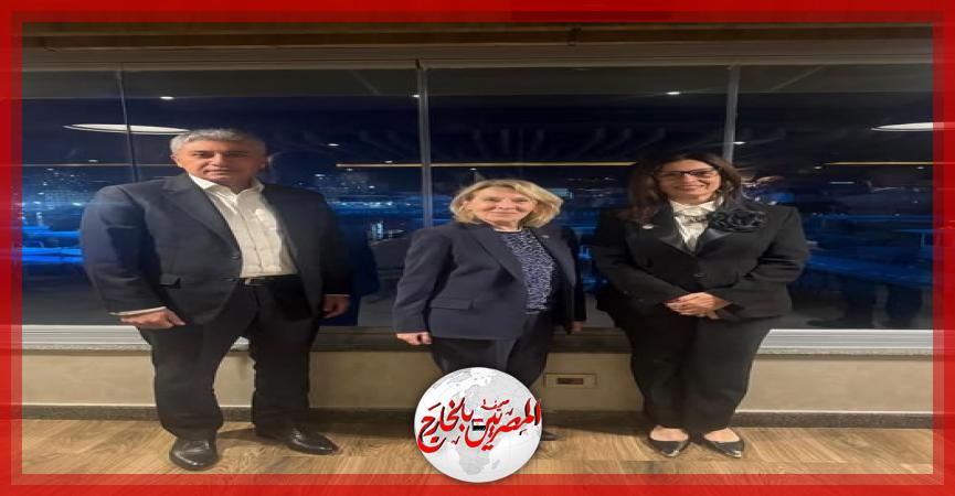 المصريين بالخارج